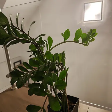 Apartment Przystan Z Widokiem Na Dunajec Kroscienko nad Dunajcem